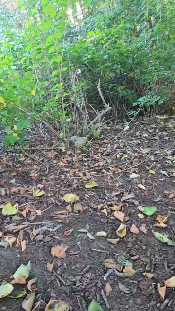 Loverber  08-10-2021 Recorded Video XXX